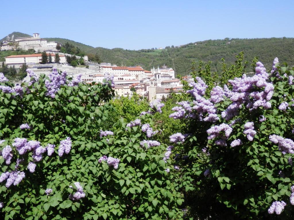 Hotel Villa Stella Cascia Exterior photo